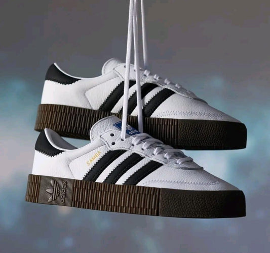 Sambarose “Cloud White”